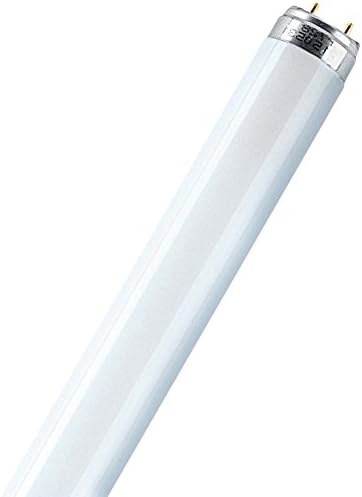  x Lámpara Fluorescente, 14 W, Lumilux Cool White